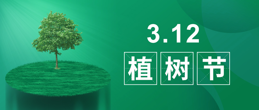 3.12植樹節(jié)|除了植樹，我們還能做什么？